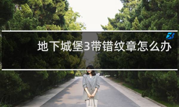 地下城堡3带错纹章怎么办