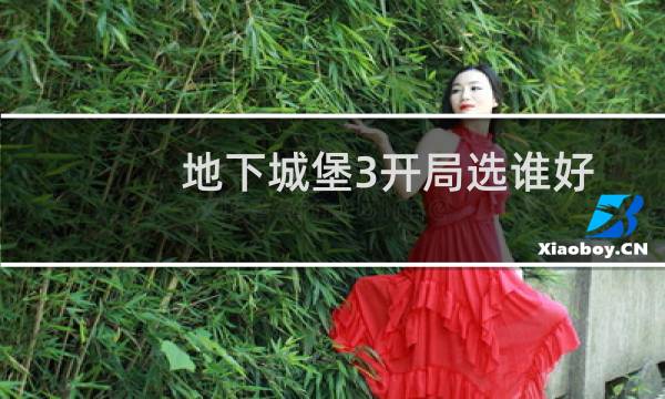 地下城堡3开局选谁好