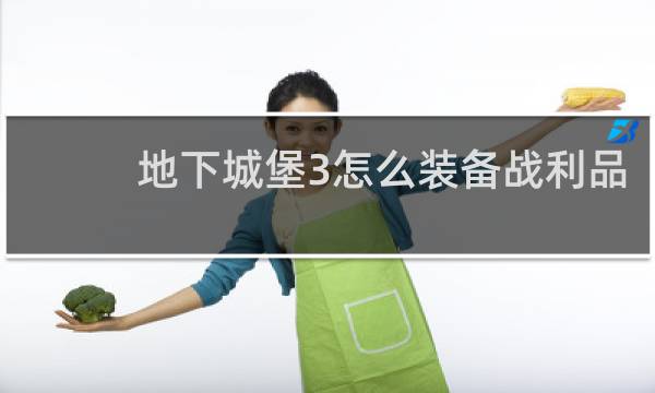 地下城堡3怎么装备战利品