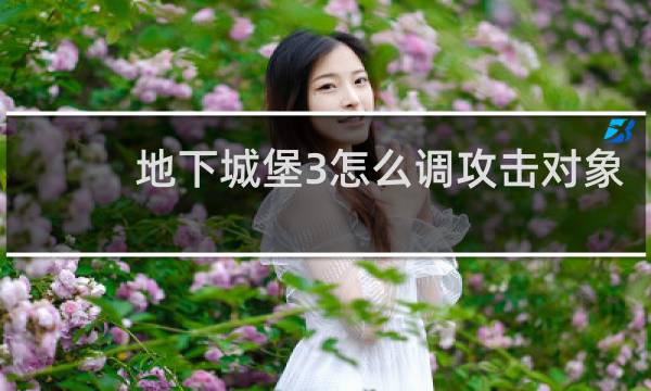 地下城堡3怎么调攻击对象