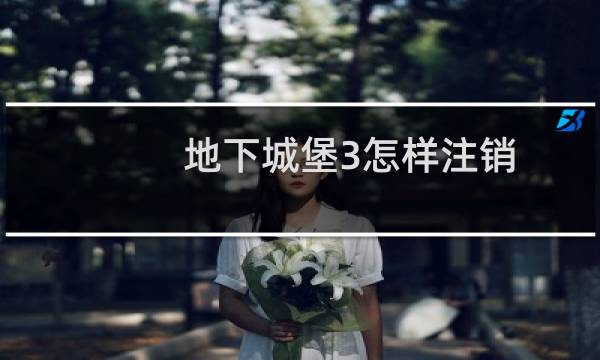 地下城堡3怎样注销