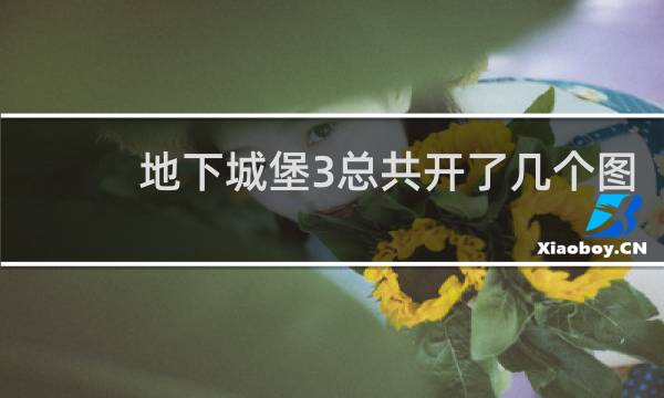 地下城堡3总共开了几个图