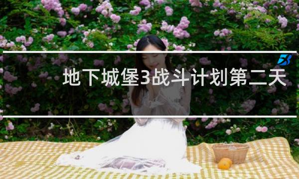 地下城堡3战斗计划第二天