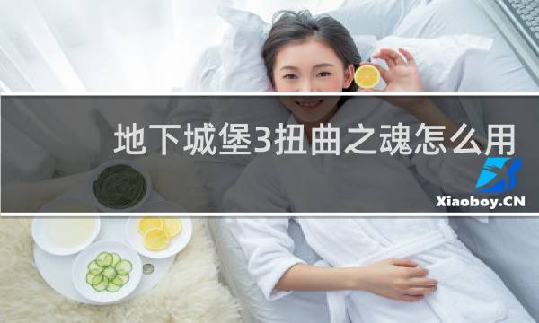 地下城堡3扭曲之魂怎么用