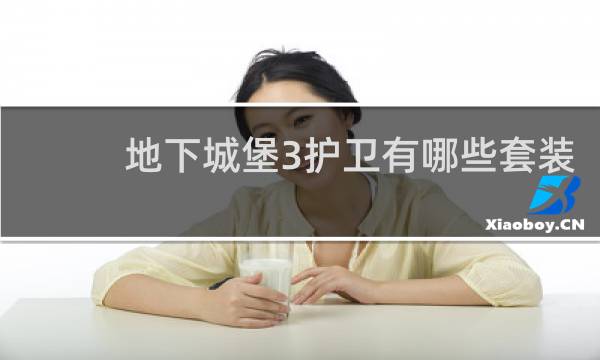 地下城堡3护卫有哪些套装