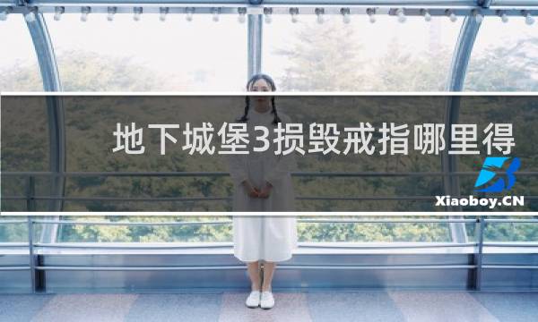地下城堡3损毁戒指哪里得