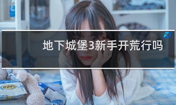 地下城堡3新手开荒行吗