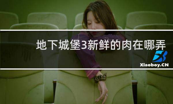 地下城堡3新鲜的肉在哪弄