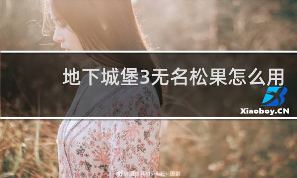 地下城堡3无名松果怎么用