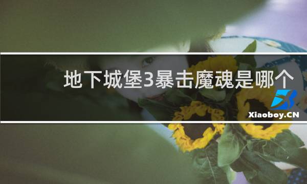 地下城堡3暴击魔魂是哪个