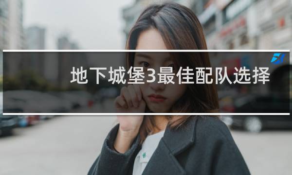 地下城堡3最佳配队选择