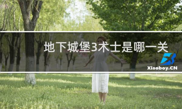 地下城堡3术士是哪一关