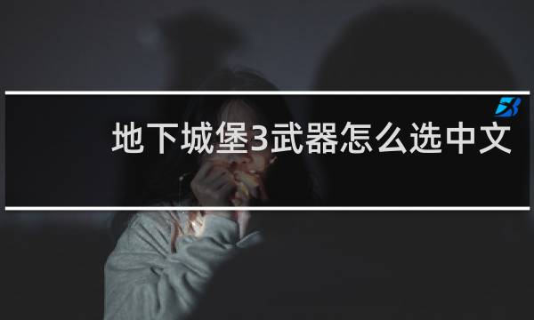 地下城堡3武器怎么选中文
