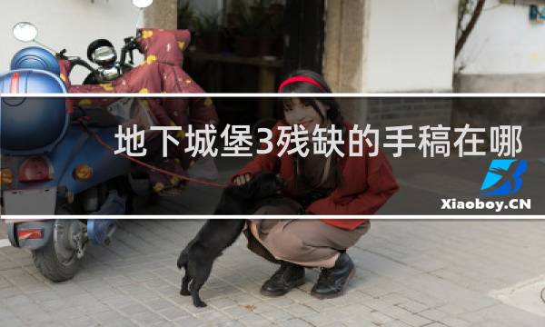 地下城堡3残缺的手稿在哪