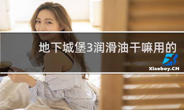 地下城堡3润滑油干嘛用的