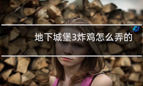 地下城堡3炸鸡怎么弄的