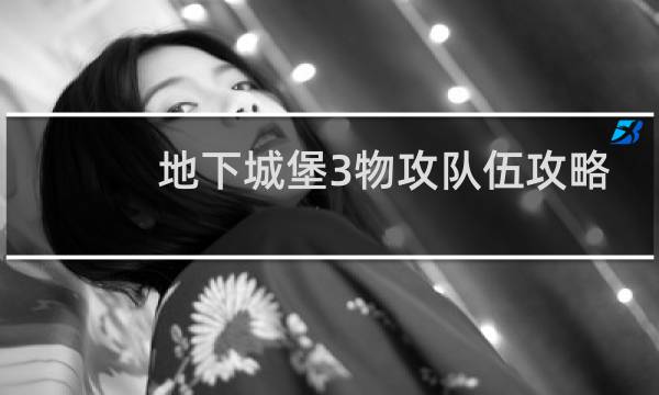 地下城堡3物攻队伍攻略