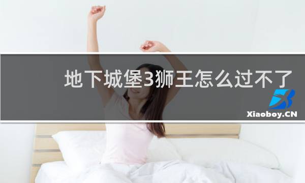 地下城堡3狮王怎么过不了