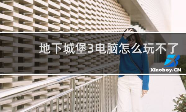 地下城堡3电脑怎么玩不了