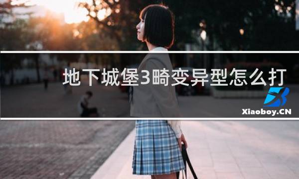 地下城堡3畸变异型怎么打