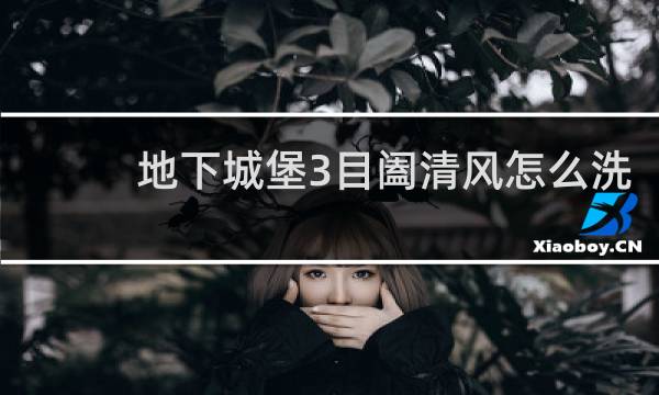 地下城堡3目阖清风怎么洗