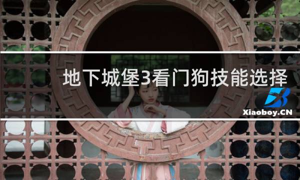 地下城堡3看门狗技能选择