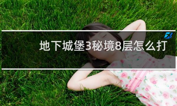 地下城堡3秘境8层怎么打