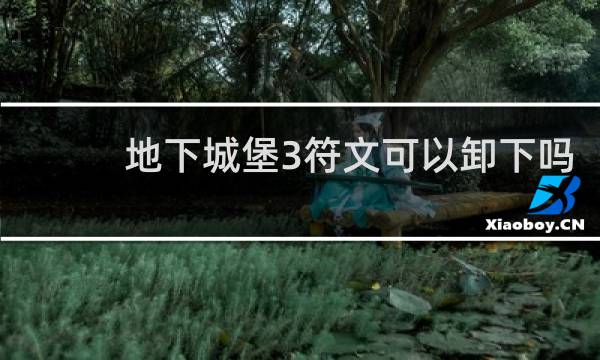 地下城堡3符文可以卸下吗