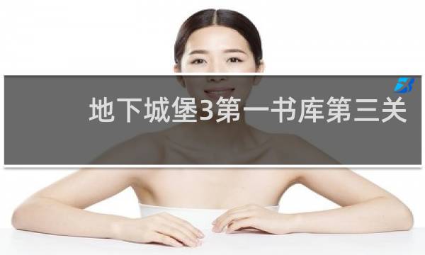 地下城堡3第一书库第三关
