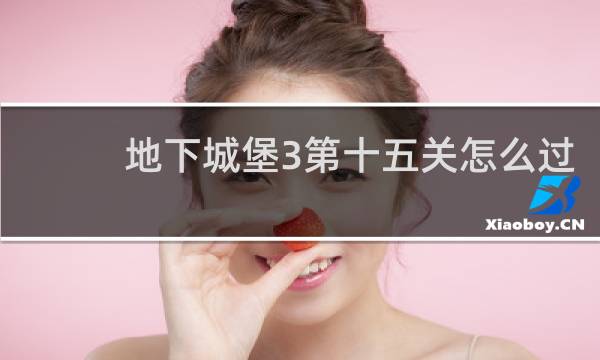 地下城堡3第十五关怎么过