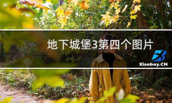 地下城堡3第四个图片