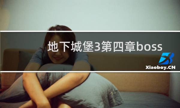 地下城堡3第四章boss