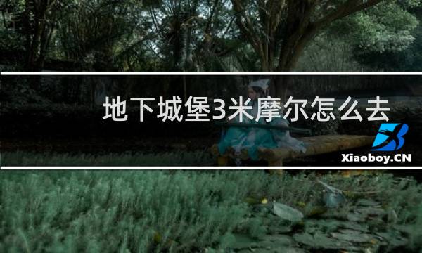 地下城堡3米摩尔怎么去