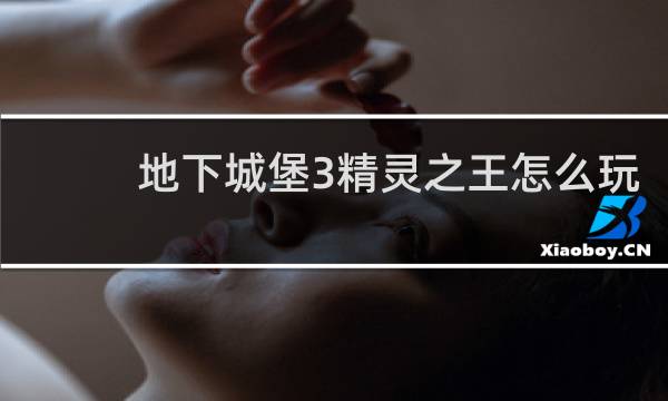 地下城堡3精灵之王怎么玩