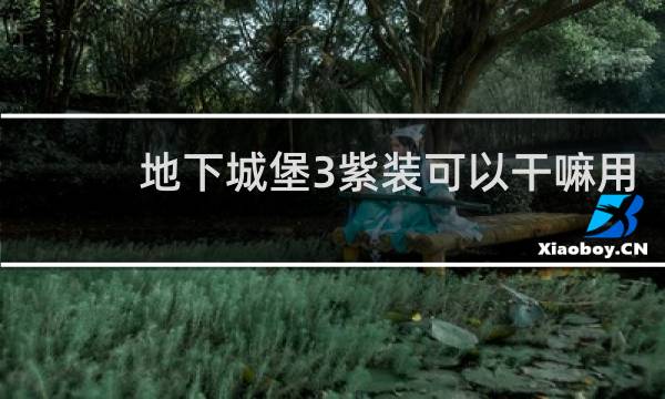 地下城堡3紫装可以干嘛用