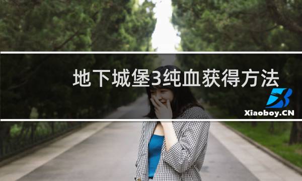 地下城堡3纯血获得方法