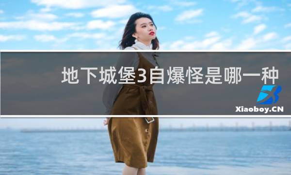 地下城堡3自爆怪是哪一种