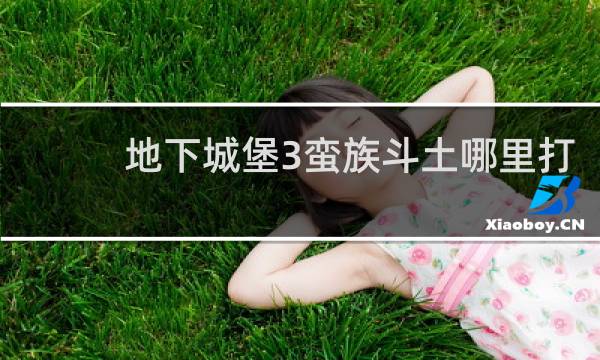 地下城堡3蛮族斗土哪里打