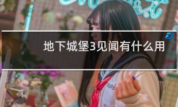 地下城堡3见闻有什么用