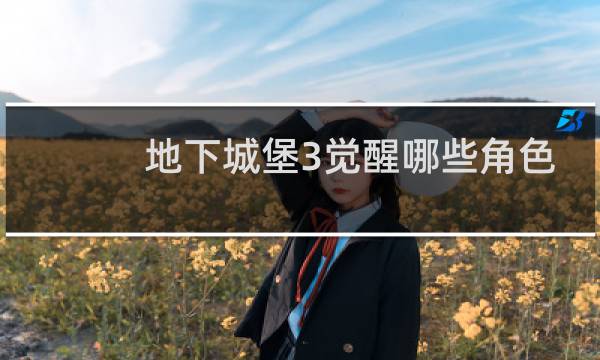 地下城堡3觉醒哪些角色