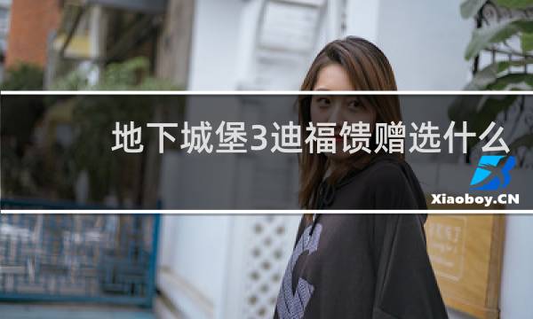 地下城堡3迪福馈赠选什么