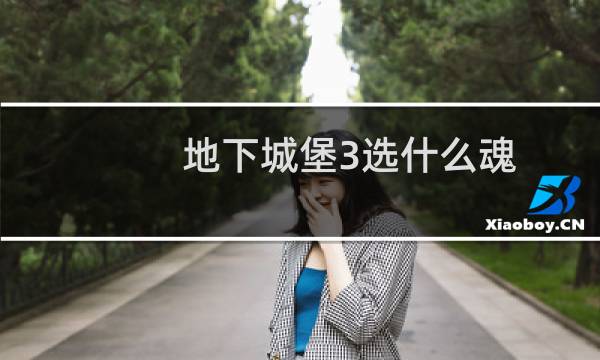 地下城堡3选什么魂