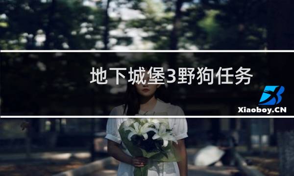 地下城堡3野狗任务