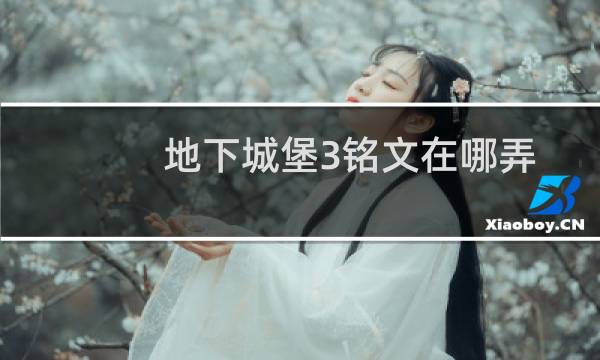 地下城堡3铭文在哪弄