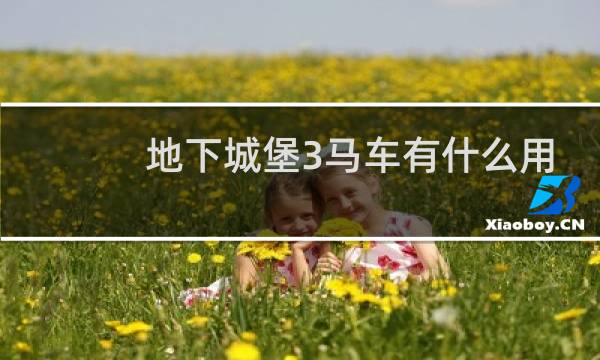地下城堡3马车有什么用