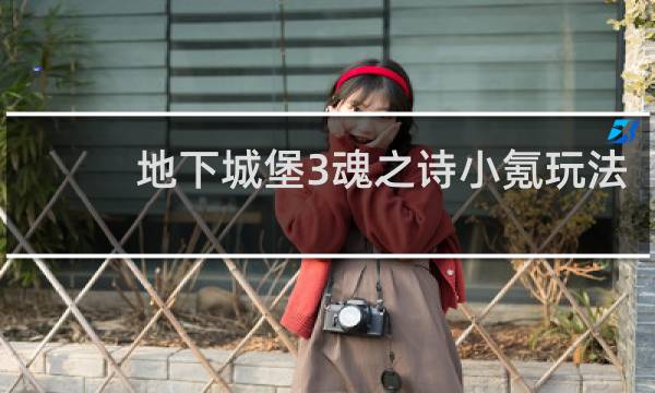 地下城堡3魂之诗小氪玩法
