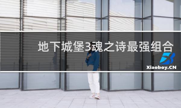 地下城堡3魂之诗最强组合