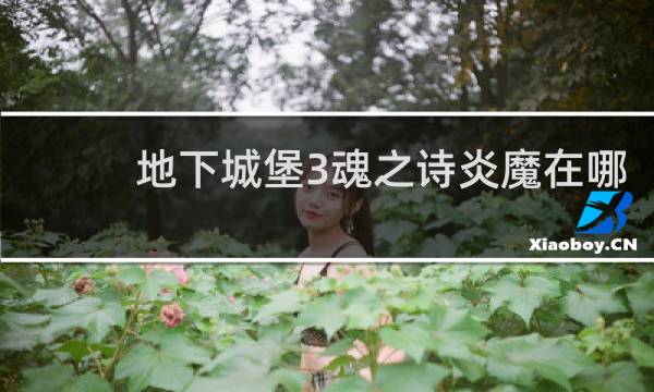 地下城堡3魂之诗炎魔在哪