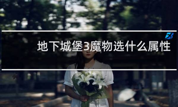 地下城堡3魔物选什么属性