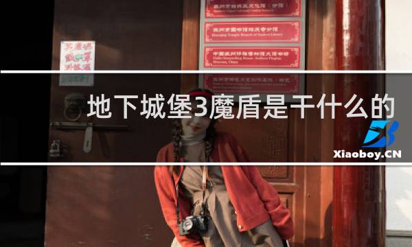地下城堡3魔盾是干什么的
